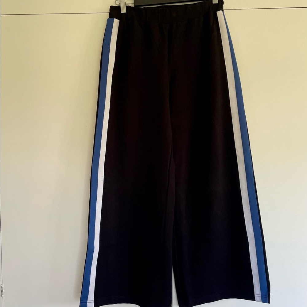 Universal Standard Stephanie Wide Leg Stripe Pointe Pants Blue and White Stripe - Picture 2 of 6